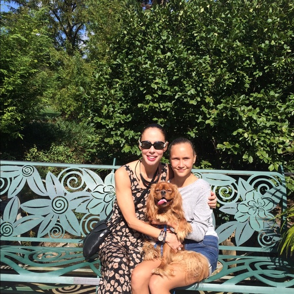 Meet your Posher, Daphne - Picture 2 of 2